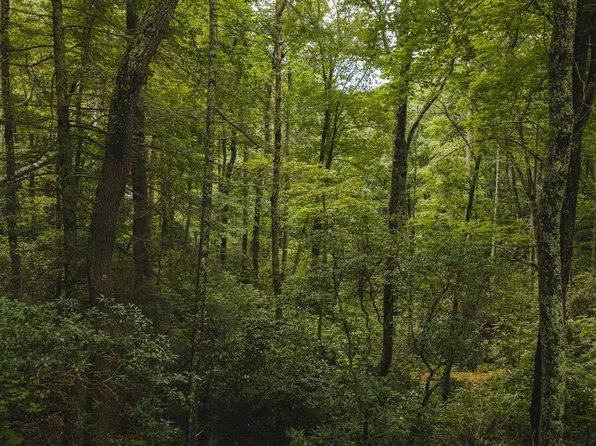 Yankee Run Dr, Marion, NC 28752