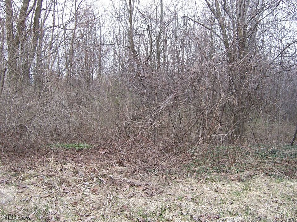 2nd image of Van Pelt Rd