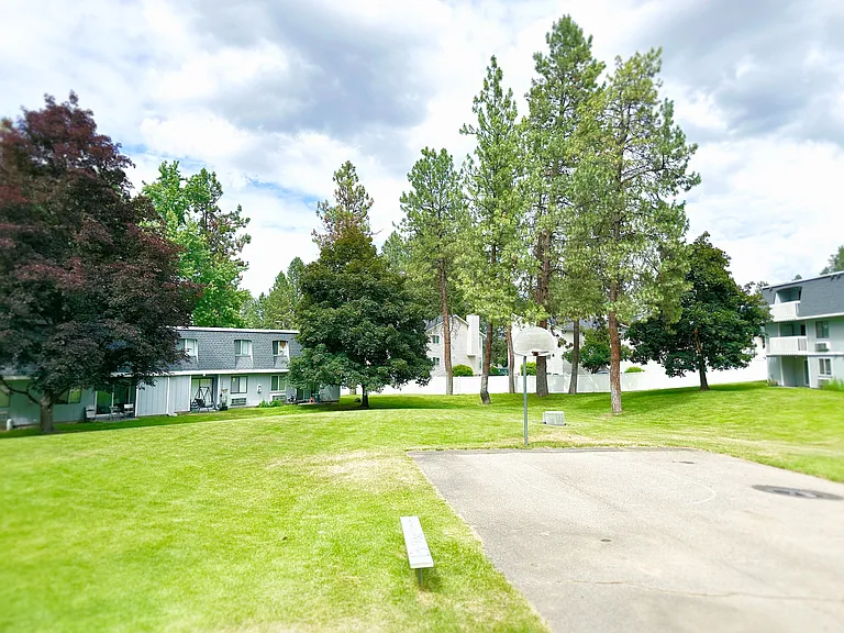 Basketball Court