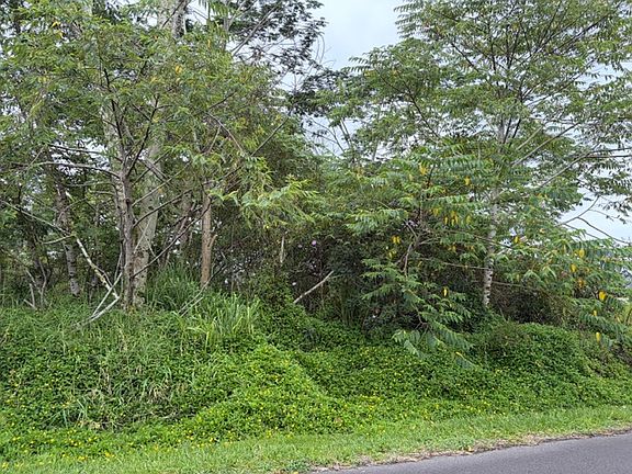 5th image of Hapuu Dr Lot 28