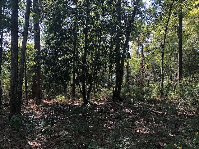 1st image of 0 E Candlewood Ave