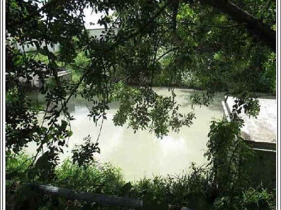 Canal View