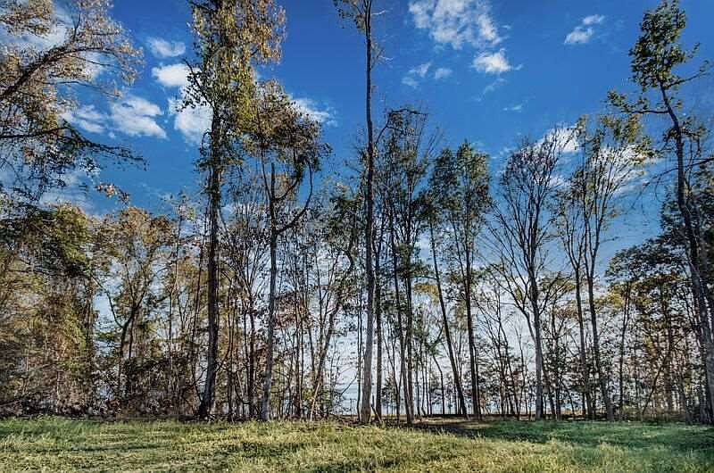 1st image of LOT 762 N Natchez Dr Lot 762