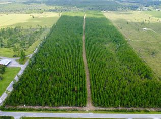 Borders Rd, Wewahitchka, FL 32465
