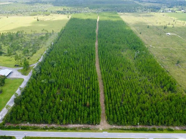 Borders Rd, Wewahitchka, FL 32465