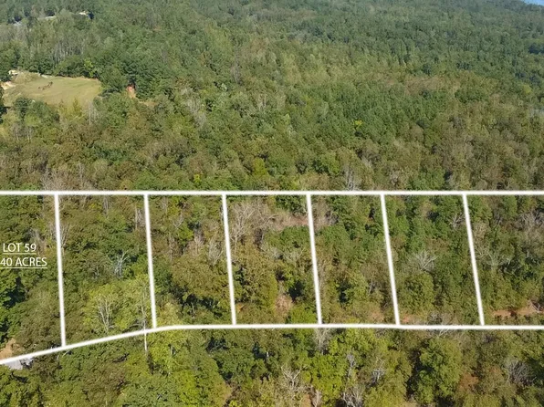 Kot 59 Peninsula Dr, Houston, AL 35572