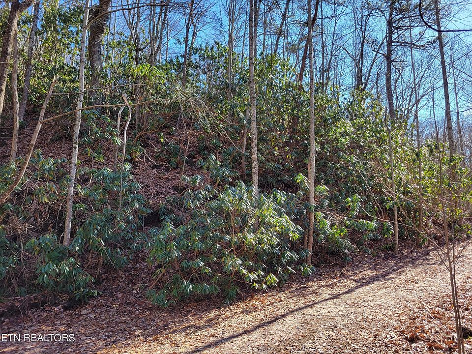 2nd image of 0 John Sevier Dr Lot 63