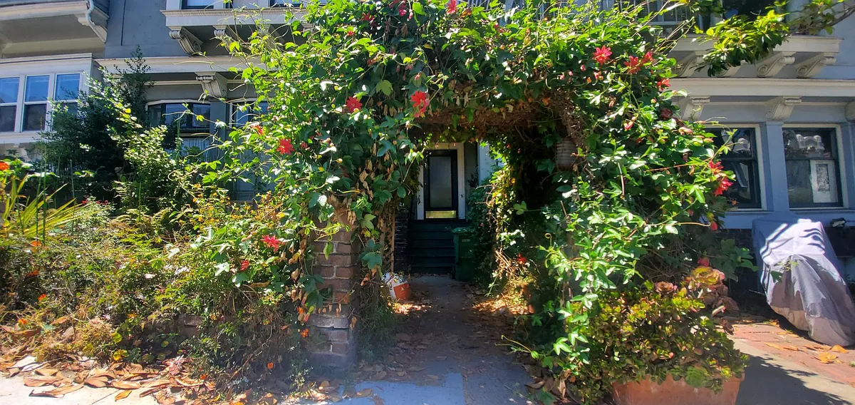 Entrance. - 905 Ashbury St #2