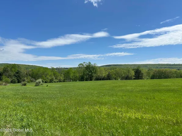 Lot 2 Gifford Hollow Road, Berne, NY 12023