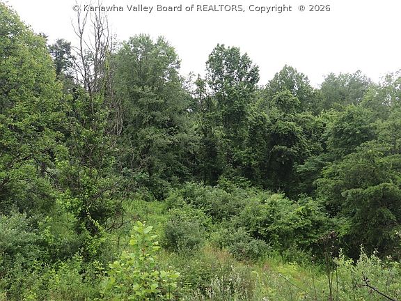 5th image of 0 Dairy Rd