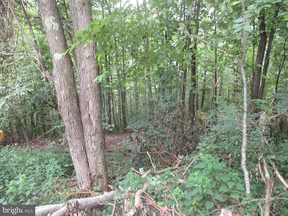 2nd image of 1000 Snake Rd