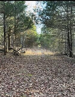 2nd image of 14 & 15 Treasure Point