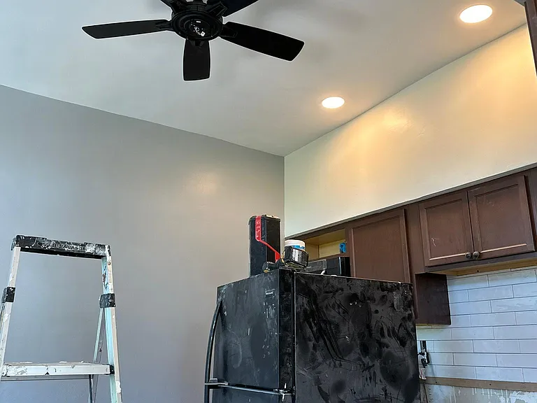 Recently rehabbed