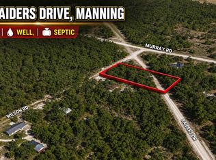 1073 Raiders Dr, Manning, SC 29102