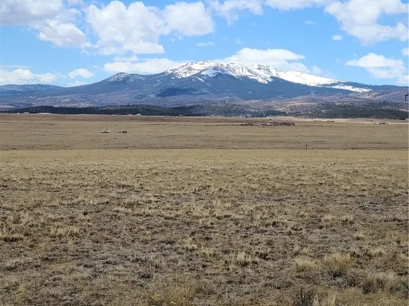 2990 Co Rd 24, Hartsel, CO 80449