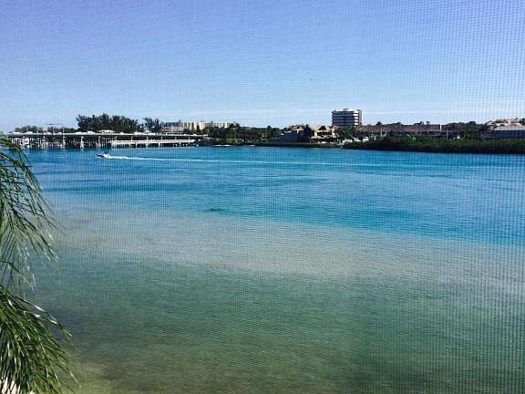 4th image of 1542 Jupiter Cove Dr APT 301