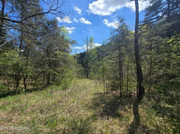 Wineberry Trl, Ewing, VA 24248