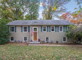23 Kearney Ter, Livingston, NJ 07039