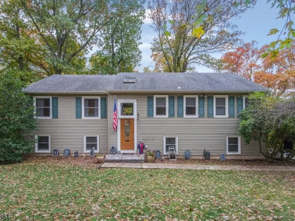 23 Kearney Ter, Livingston, NJ 07039