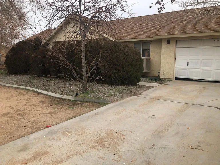 Driveway &Garage