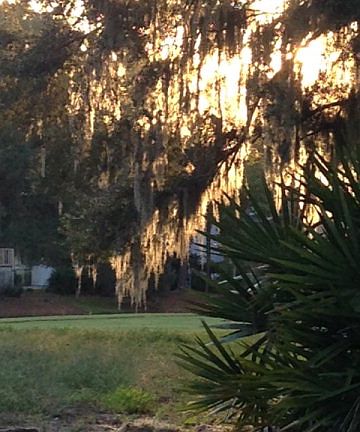 4th image of 1227 Sea Palms West Dr