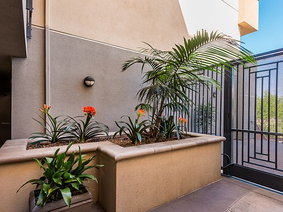 4th image of 3887 Pell Pl Unit 205