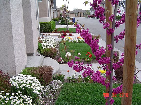 House Front - Side View  - Mar 2010