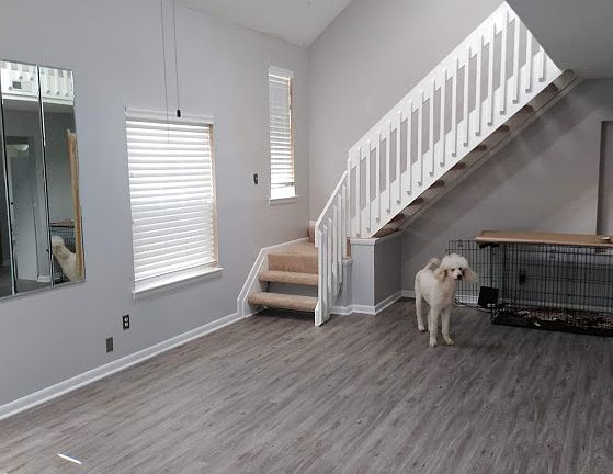 4th image of 5005 Halwell Dr