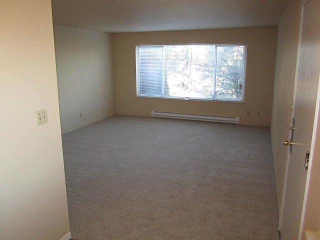 New Carpet