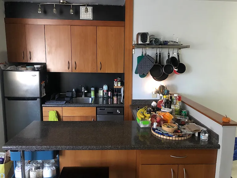 Fully equipped kitchen with refrigerator, gas range, dishwasher, and combination oven, and ample storage space.