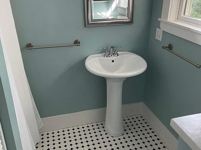 Downstairs bathroom (shower, washer/dryer)