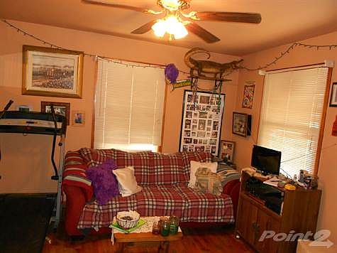 Living room with ceiling fan.