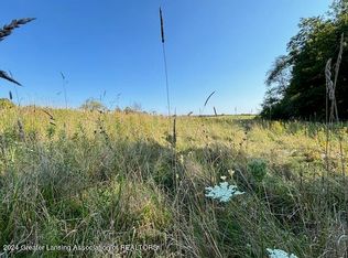 Brown Rd, Vermontville, MI 49096