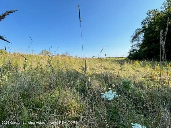 Brown Rd, Vermontville, MI 49096