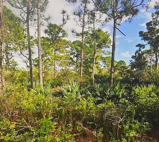 1st image of 5550 TREE TOP TRAIL