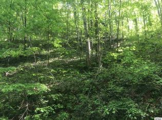 31 Black Walnut Flats Rd LOT 31, Sevierville, TN 37862