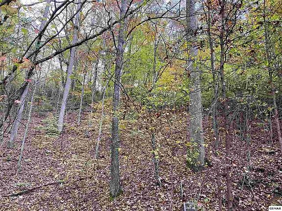 2nd image of Ogle Dr