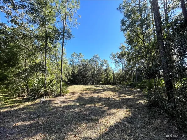 6712 W Macopin Ln, Crystal River, FL 34429