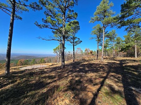 5th image of 918 Round Mountain Rd