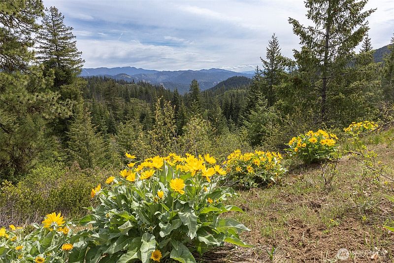 5th image of 0 Forest Service 6601-550 Rd
