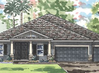 8792 Birchleaf Ct, Land O Lakes, FL 34637