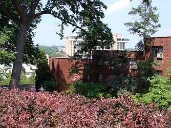 1st image of 1569 Colonial Ter APT 307