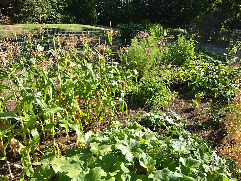 Community Garden
