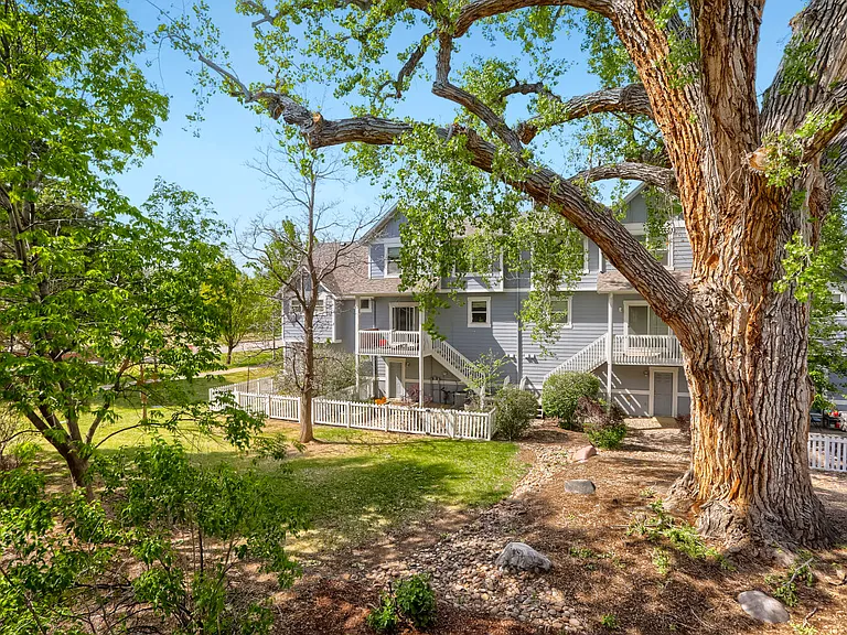 Deck view of backyard and common space