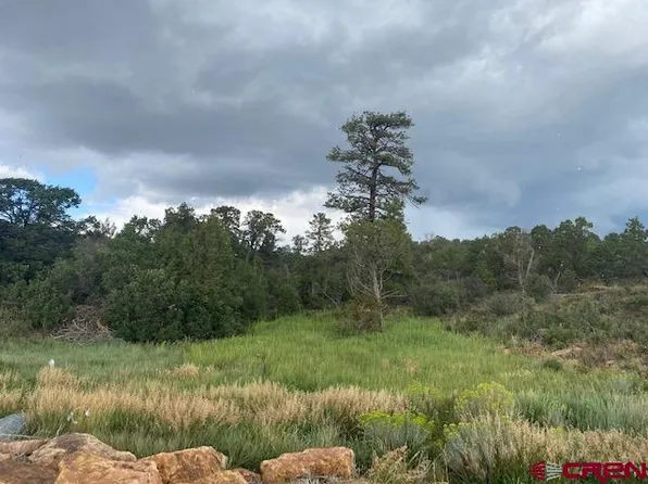 TBD Road 15, Dove Creek, CO 81324