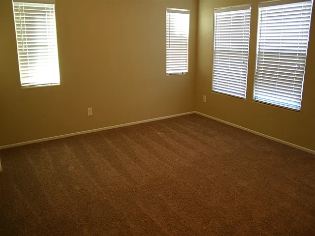 1171 Paradise Safari Dr — Photo 5