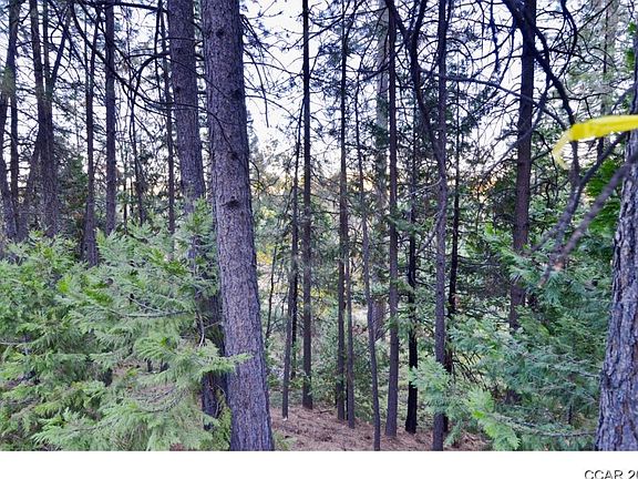 2nd image of 2734 Placer Way