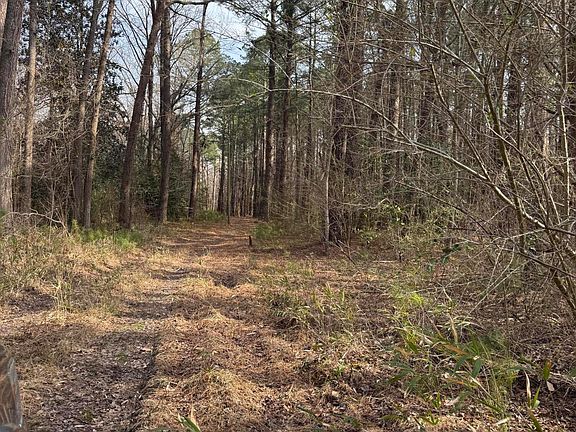 5th image of 269 Creek Road