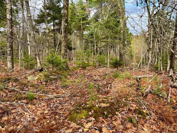 0 Millvale Road, Bucksport, ME 04416