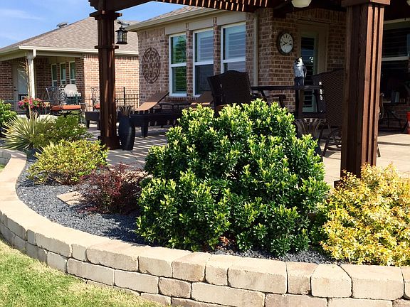 Entire Patio Landscaped